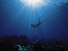 Diver