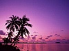 Sea-shore